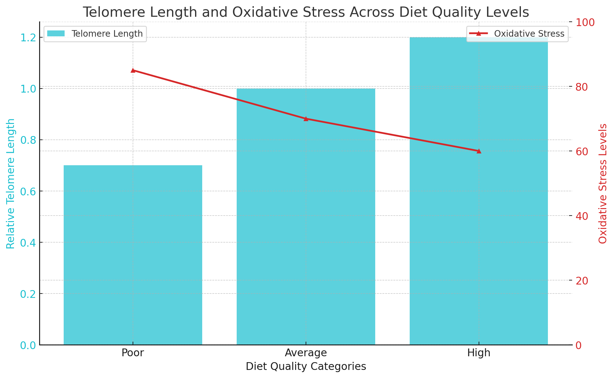 Telomere Length and Oxidative Stress Across Diet Quality Levels.png