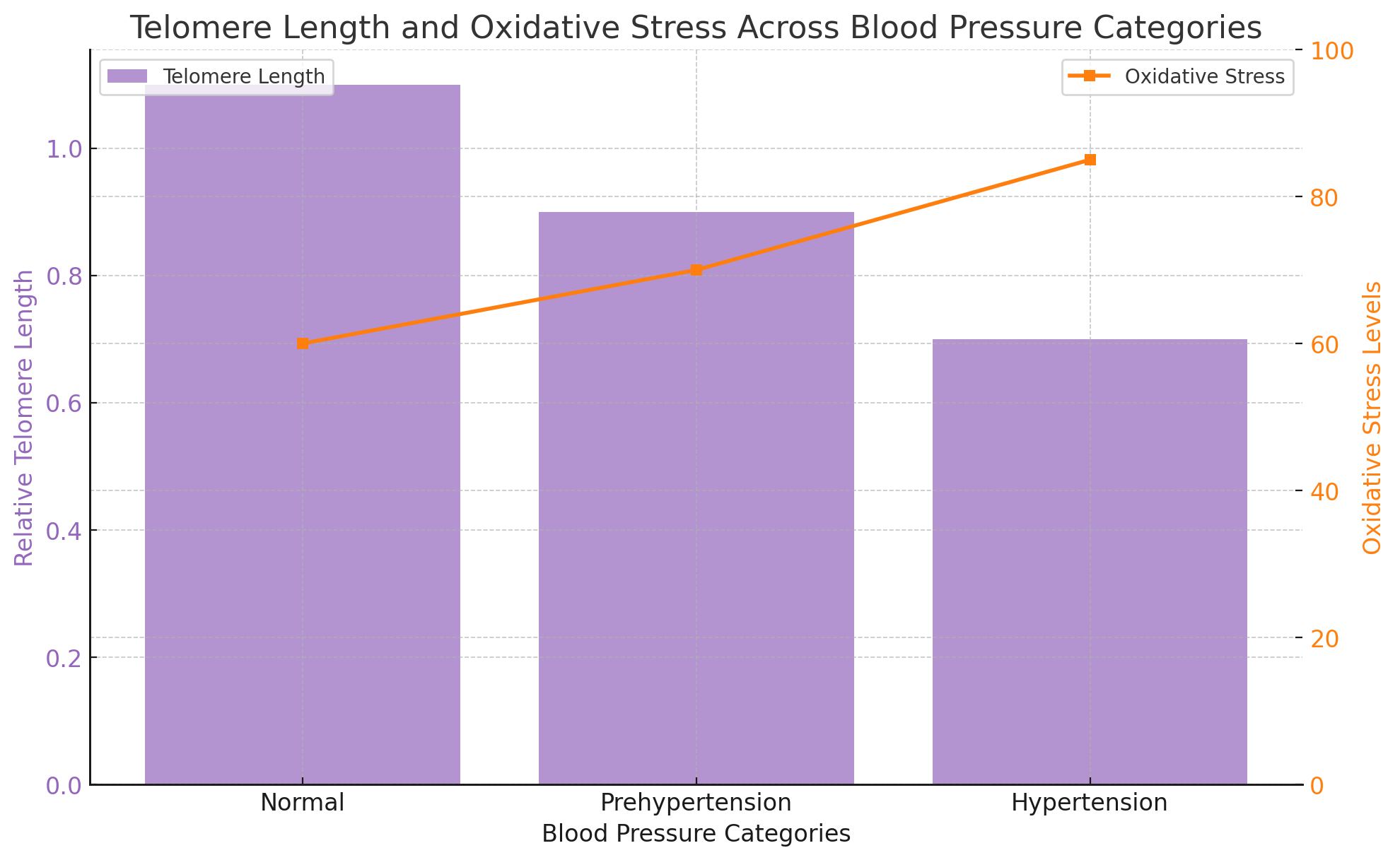 Telomere Length and Oxidative Stress Across Blood Pressure Categories.png