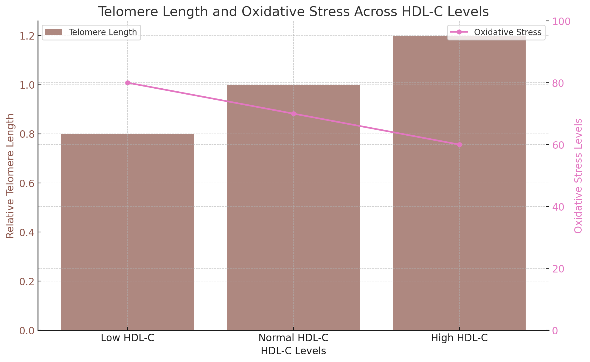 Telomere Length and Oxidative Stress Across HDL-C Levels.png