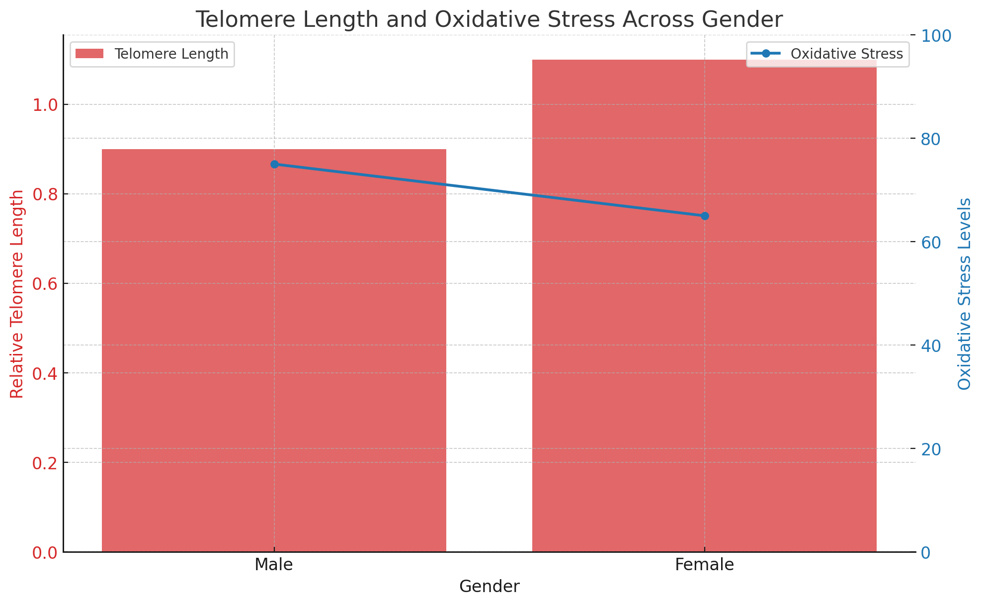 Telomere Length and Oxidative Stress Across Gender.png