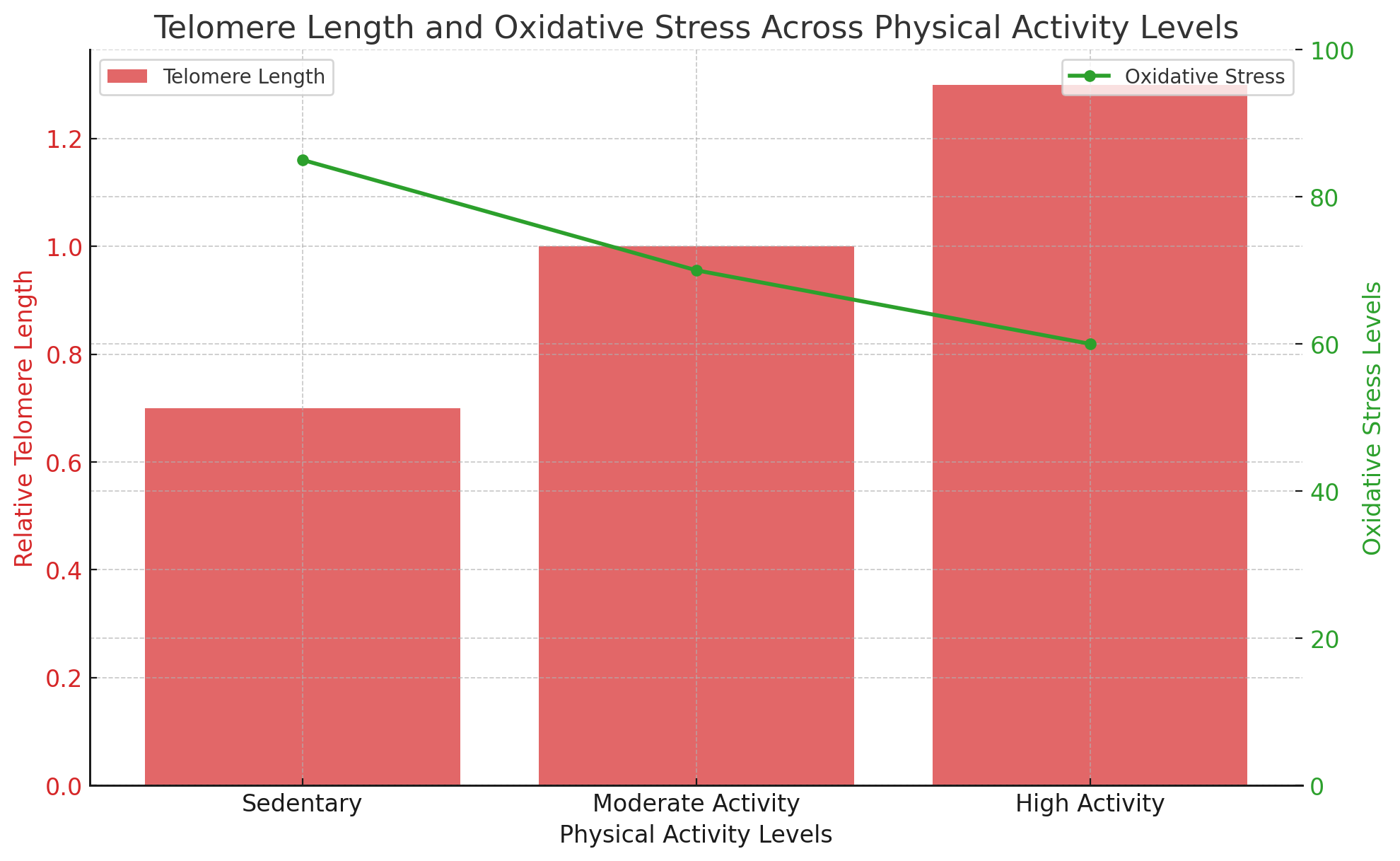 Telomere Length and Oxidative Stress Across Physical Activity Levels.png