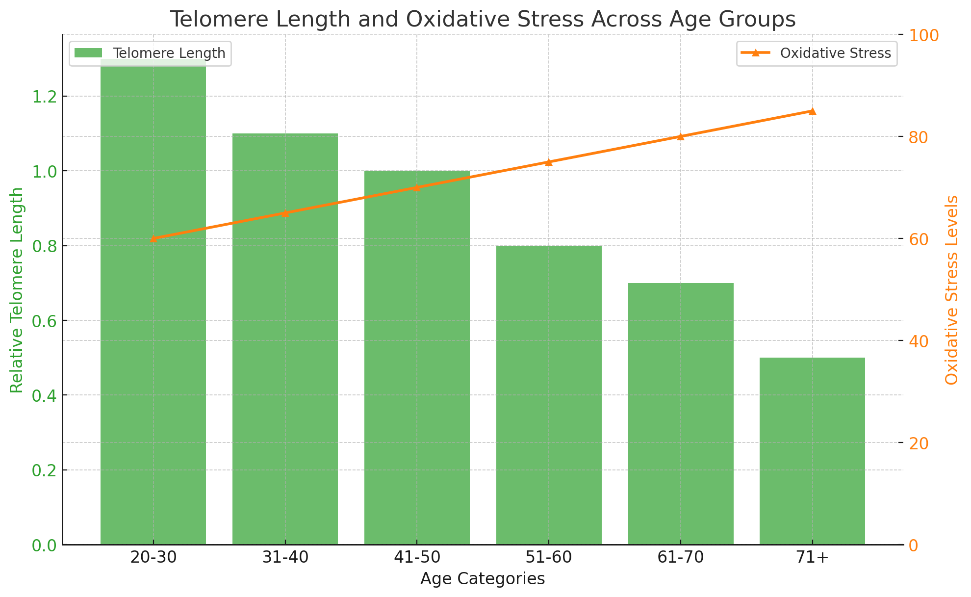 Telomere Length And Oxidative Stress Across Age Groups.png