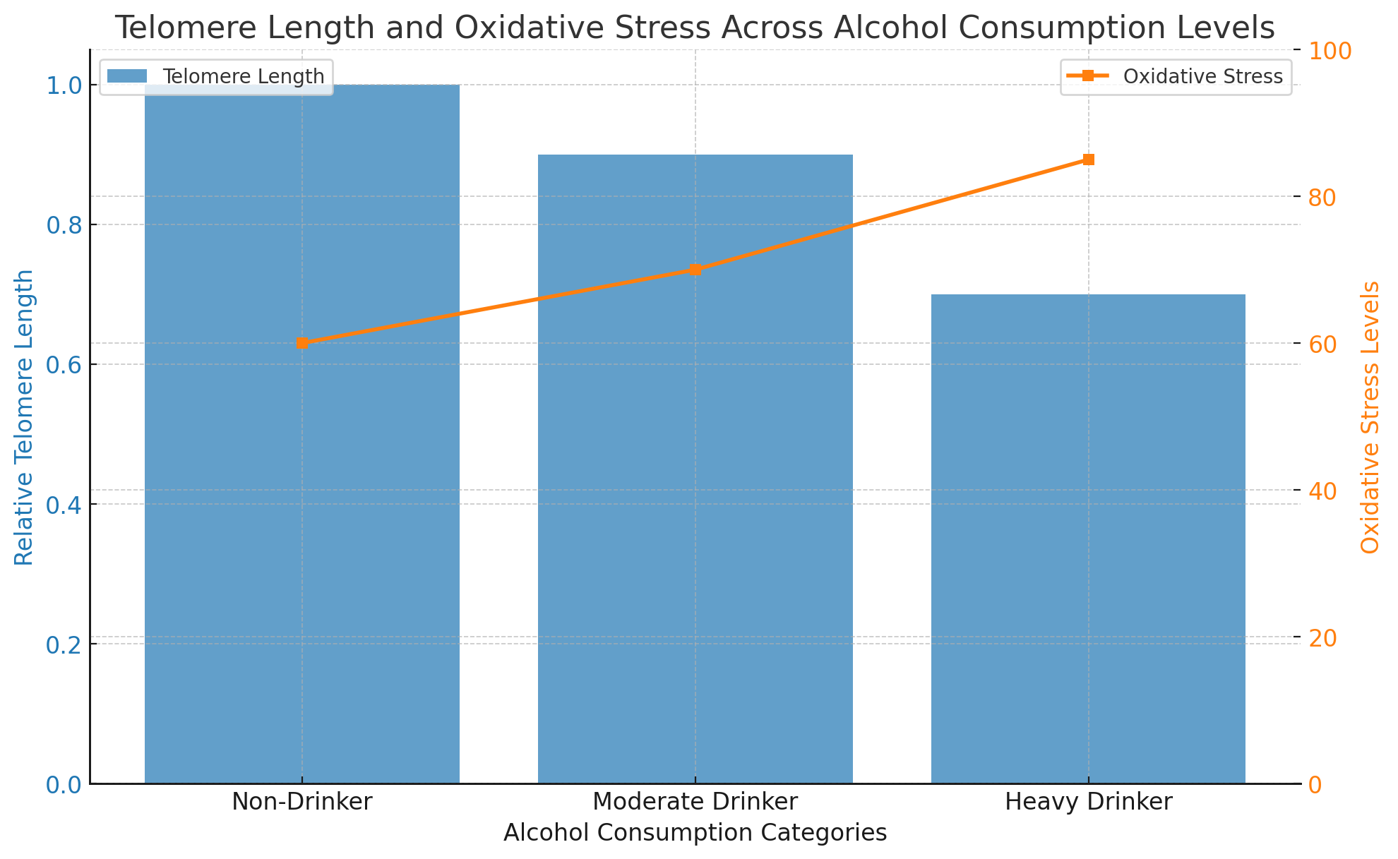 Telomere Length and Oxidative Stress Across Alcohol Consumption Levels.png