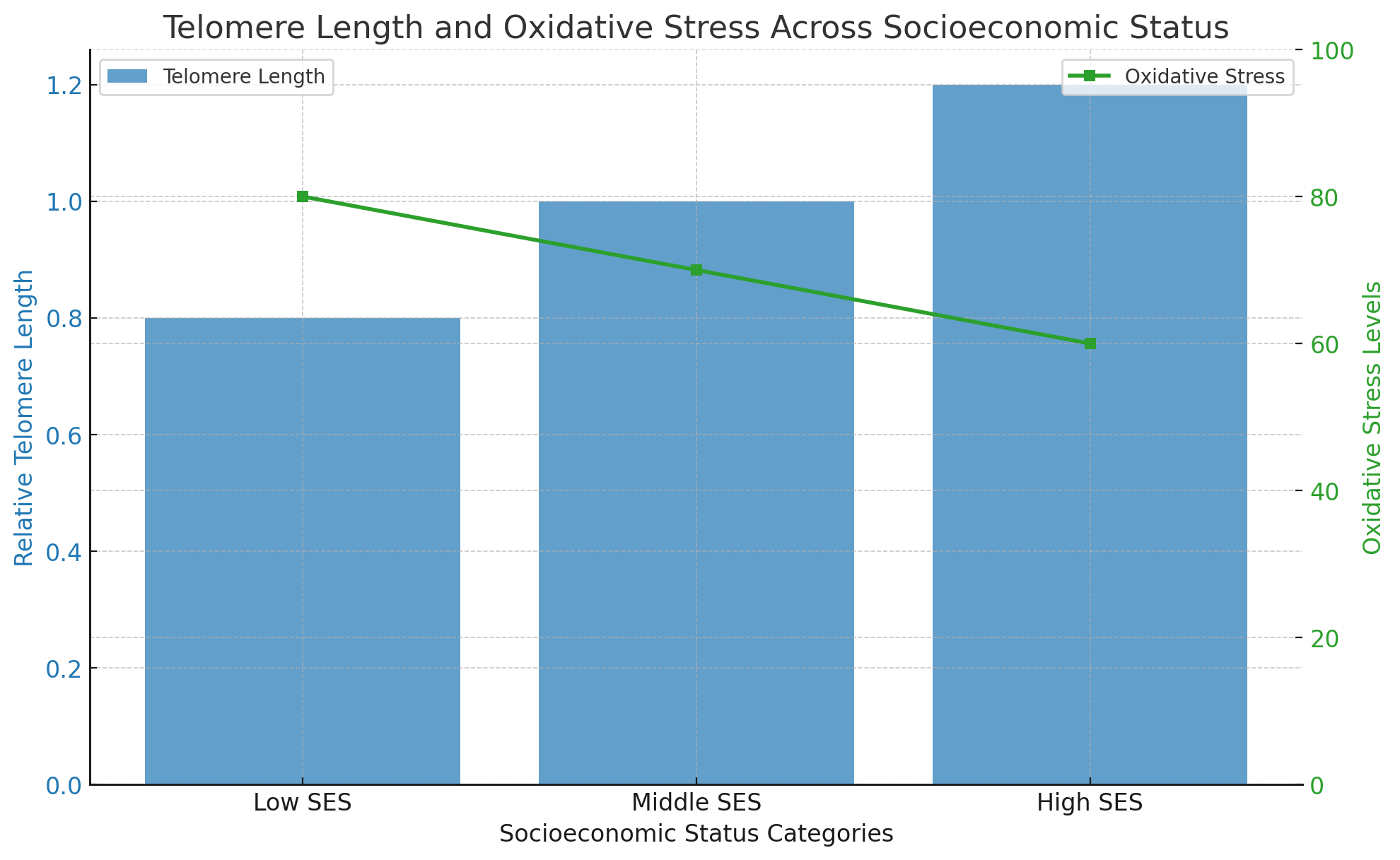 Telomere Length and Oxidative Stress Across Socioeconomic Status.png