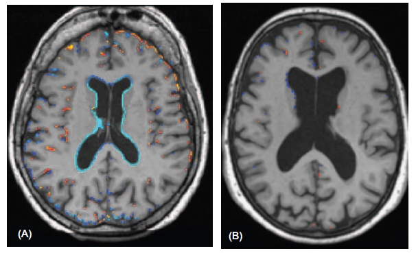 fig4.jpg