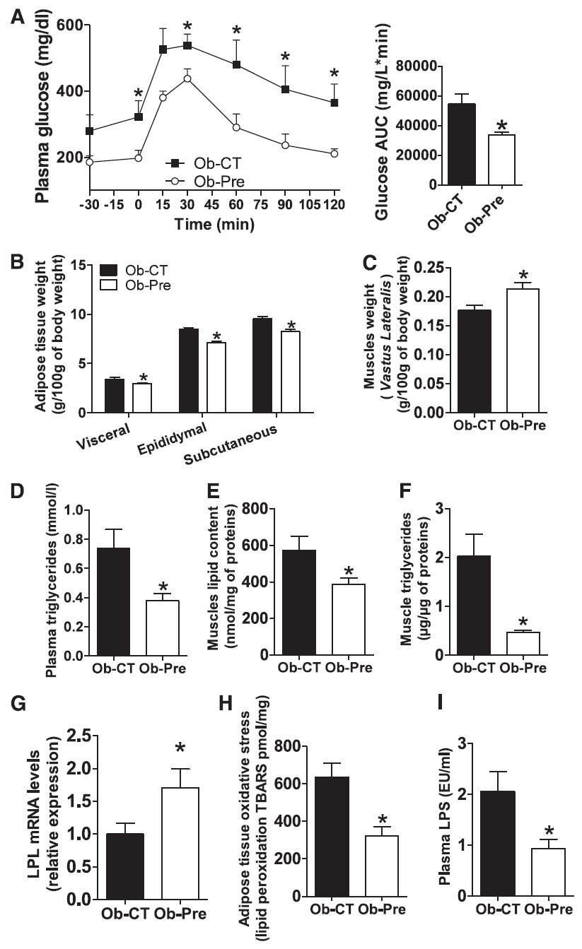 fig3.jpg