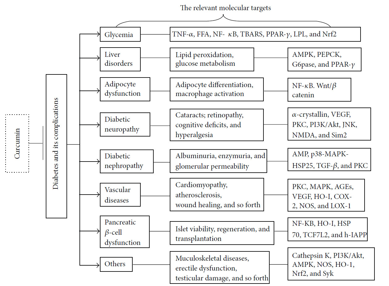 fig2.jpg