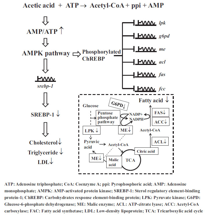 fig3.jpg
