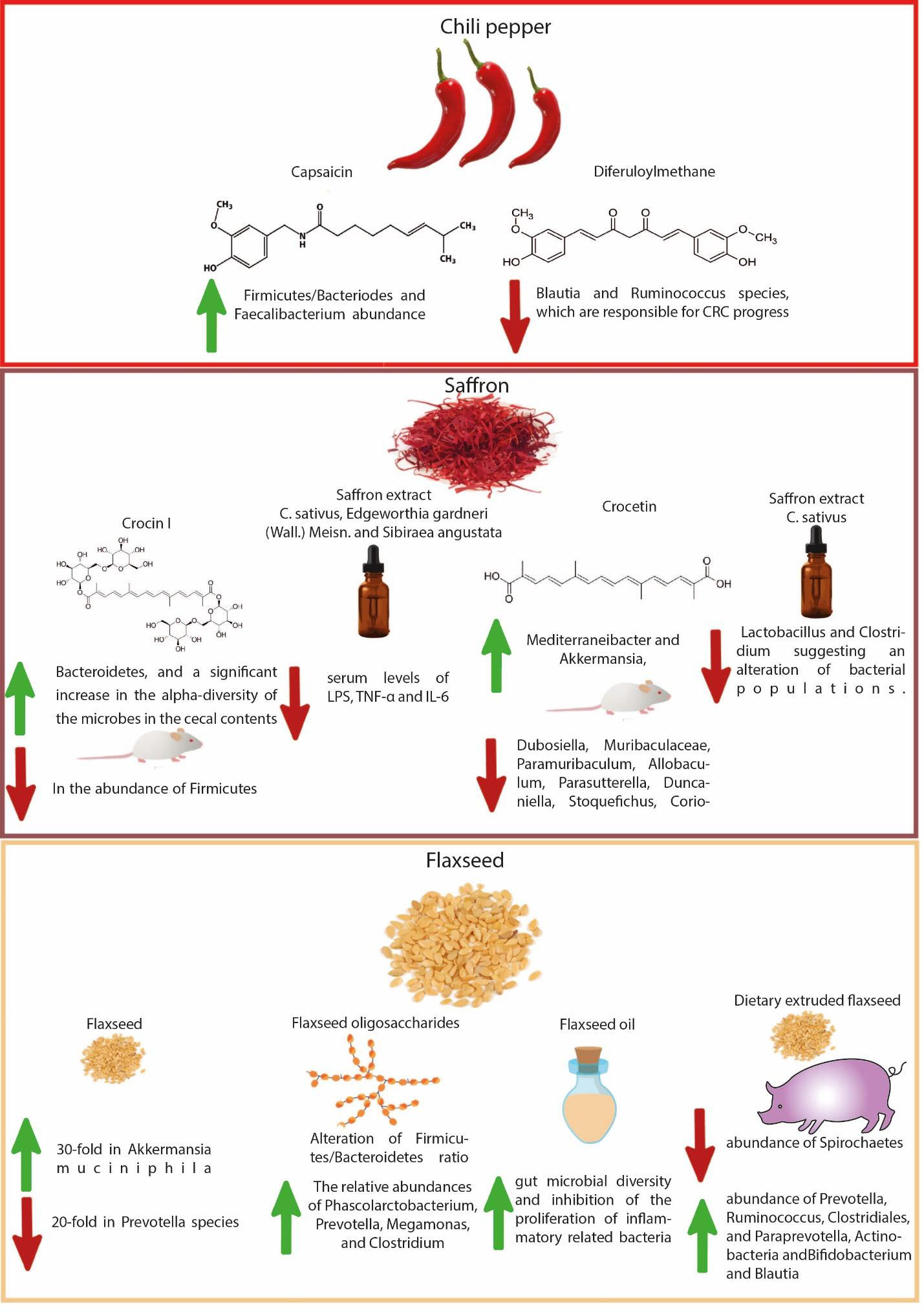 fig2.jpg