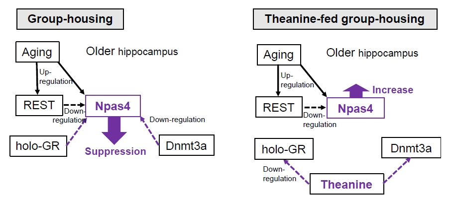 fig9.jpg
